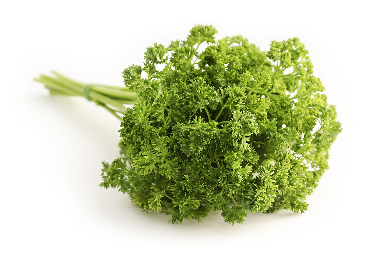 entdecken sie die faszinierende welt der gewürze! von aromatischen kräutern bis hin zu exotischen gewürzmischungen bieten wir eine breite auswahl für ihre küche. verfeinern sie ihre gerichte und erleben sie unvergleichliche geschmackserlebnisse.