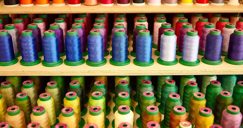 Augenbrauen färben selbst gemacht: die Schritte, die wirklich zählen